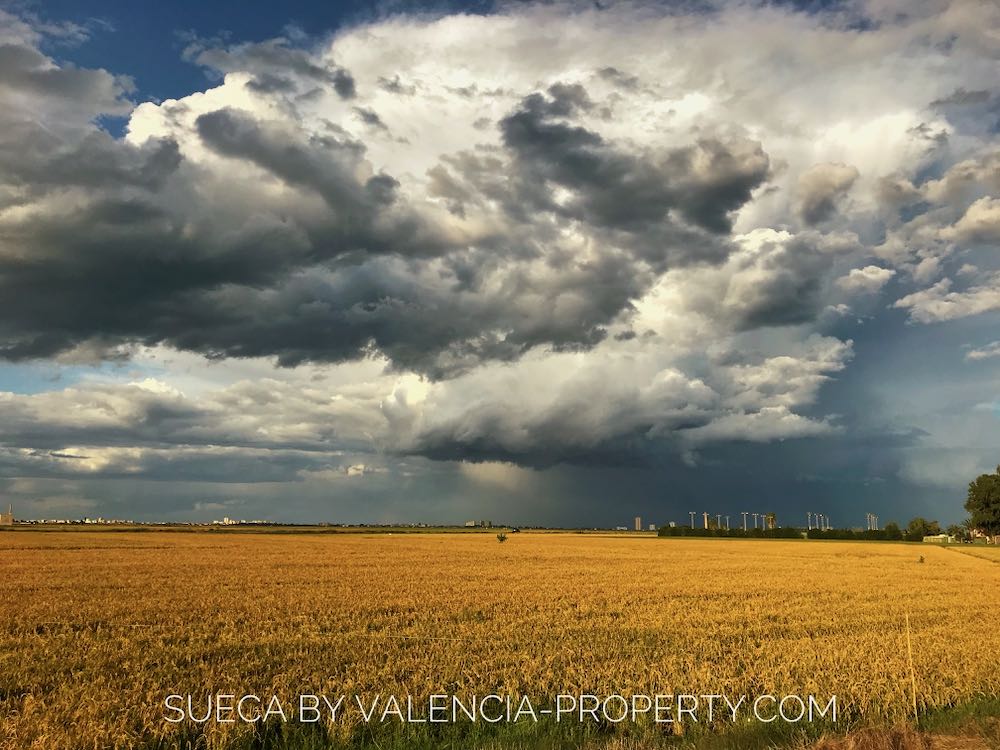 Fields Around Sueca, Valencia